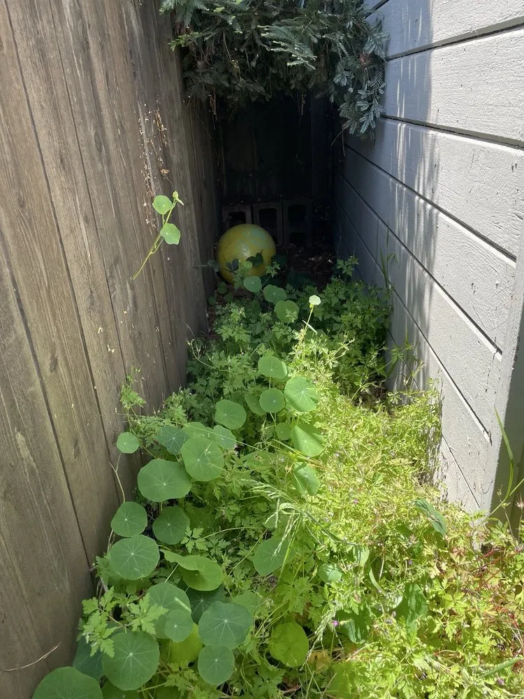 Custom outdoor landscaping in El Cerrito, CA - Juan’s Lawns