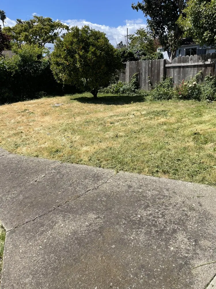 Trusted residential landscaping for homes in El Cerrito, CA by Juan’s Lawns