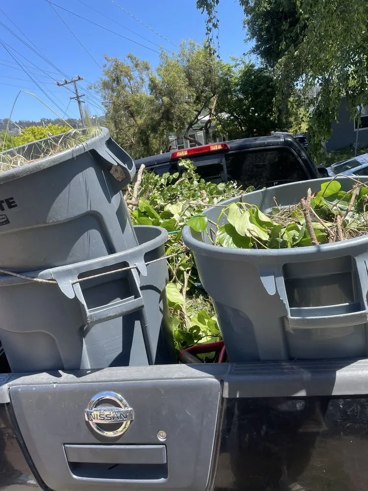 Top-rated landscape installation for homes across El Cerrito, CA - Juan’s Lawns