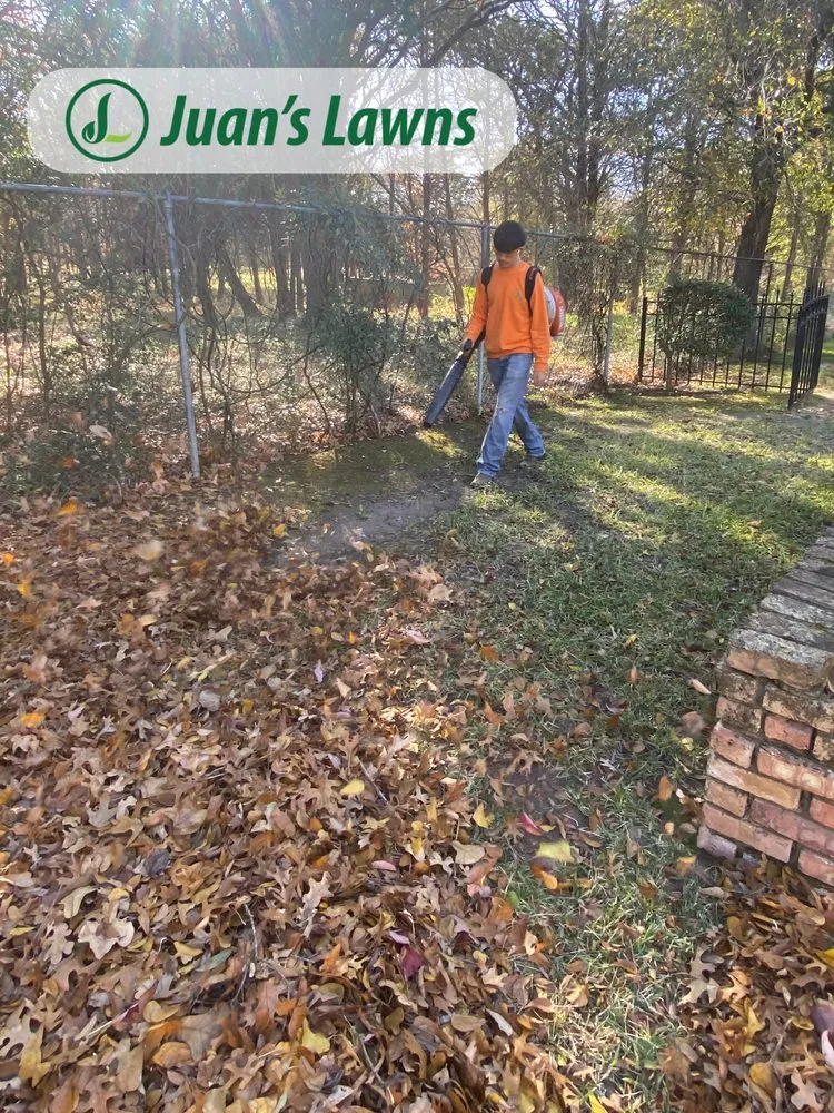 Reliable outdoor landscaping in Greenville, TX by Juan’s Lawns