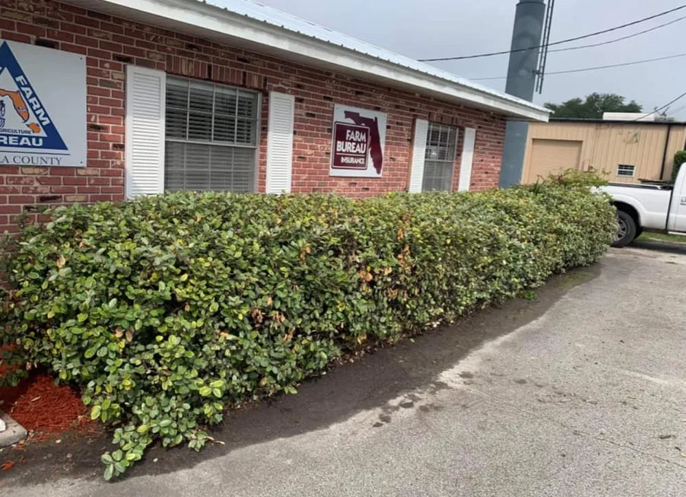 Reliable lawn mowing service experts serving St. Cloud, FL - Juan's Pressure wash and Lawn care