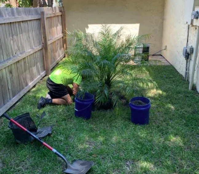 Local yard maintenance for beautiful yards across St. Cloud, FL - Juan's Pressure wash and Lawn care