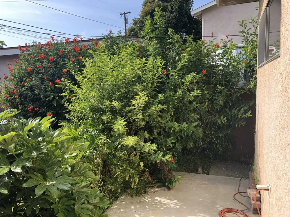 Expert landscaping services for outdoor upgrades across Long Beach, CA - Juan’s Professional Landscaping & Gardeners