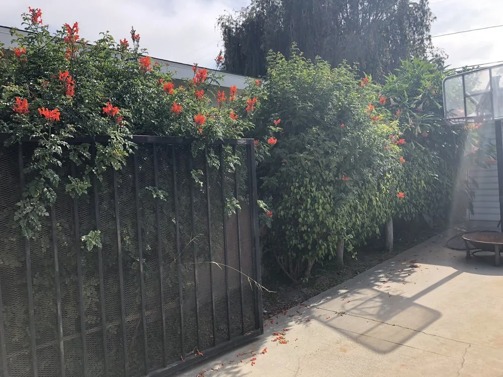Affordable yard cleanup service for residential properties in Long Beach, CA by Juan’s Professional Landscaping & Gardeners