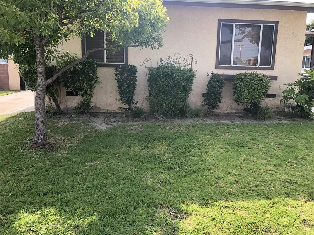 Expert outdoor landscaping in Long Beach, CA by Juan’s Professional Landscaping & Gardeners