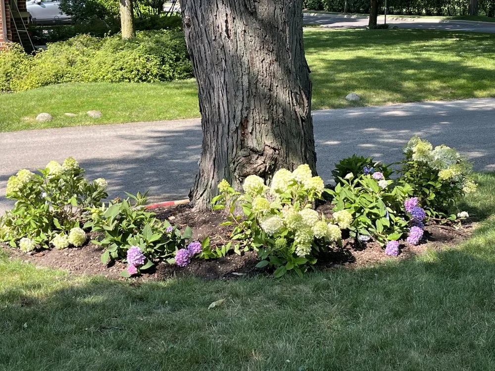 Trusted garden landscaping experts serving Glenview, IL - Juan’s Professional Landscaping