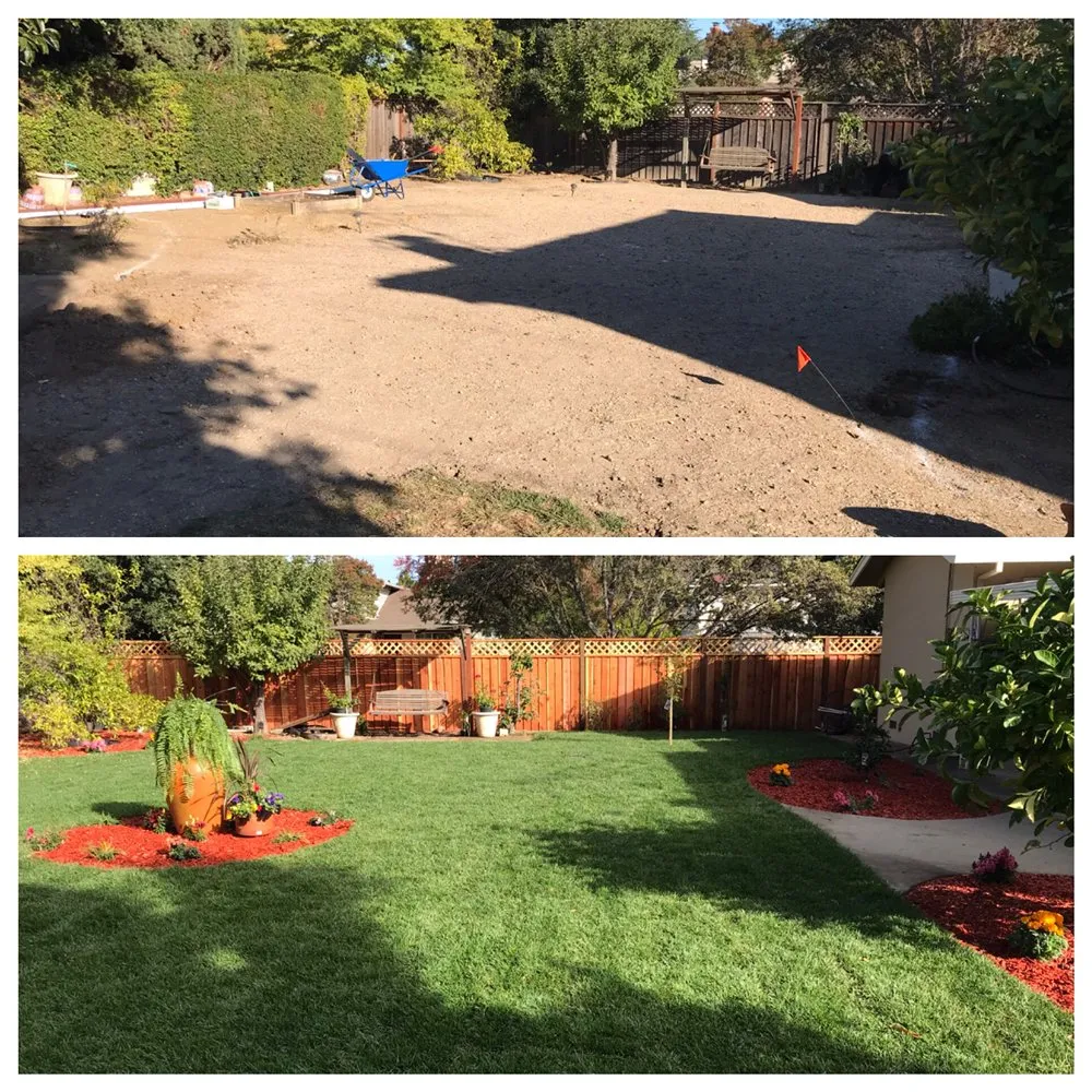 Affordable landscaping services in San Jose, CA by Juarez And Sons Landscaping