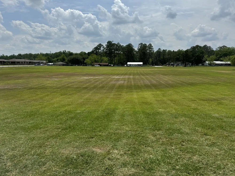 Custom yard maintenance for residential properties across Brunswick, GA - Juarez Carpenter Landscaper