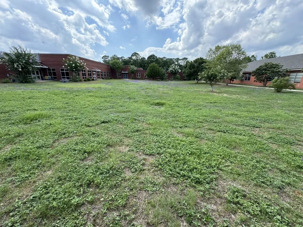 Trusted yard maintenance for residential properties in Brunswick, GA by Juarez Carpenter Landscaper