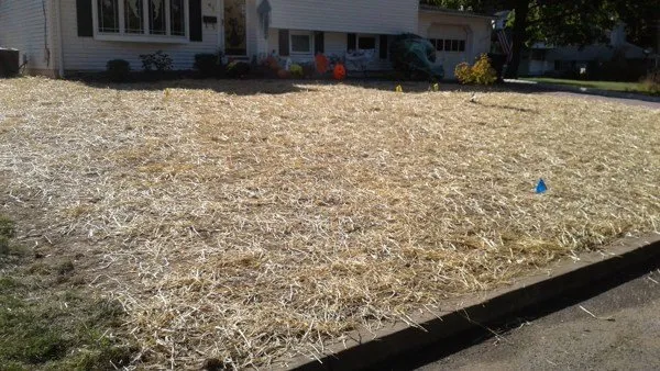 Custom landscape design for residential properties across Keansburg, NJ - Juarez complete landscaping