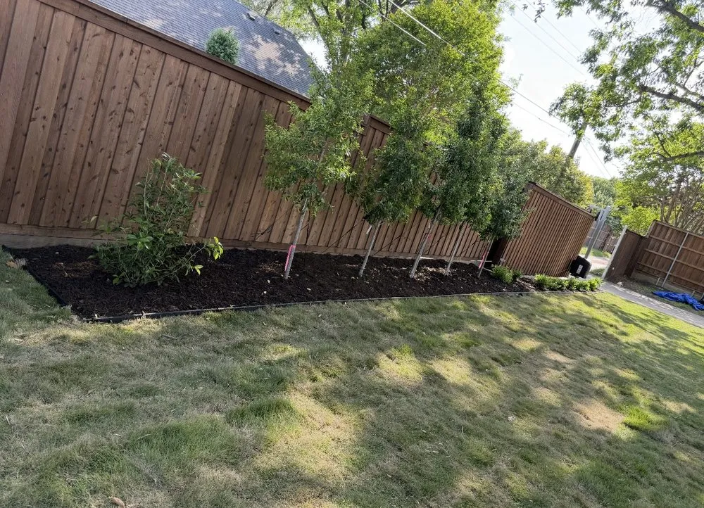 Affordable yard cleanup service for outdoor upgrades across Plano, TX - Juarez General Construction & Landscaping