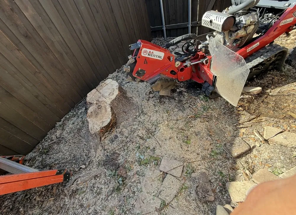 Professional yard cleanup service in Plano, TX - Juarez General Construction & Landscaping