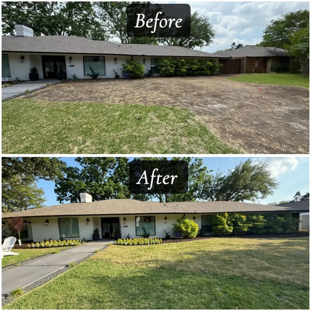 Top-rated lawn care service in Plano, TX - Juarez General Construction & Landscaping