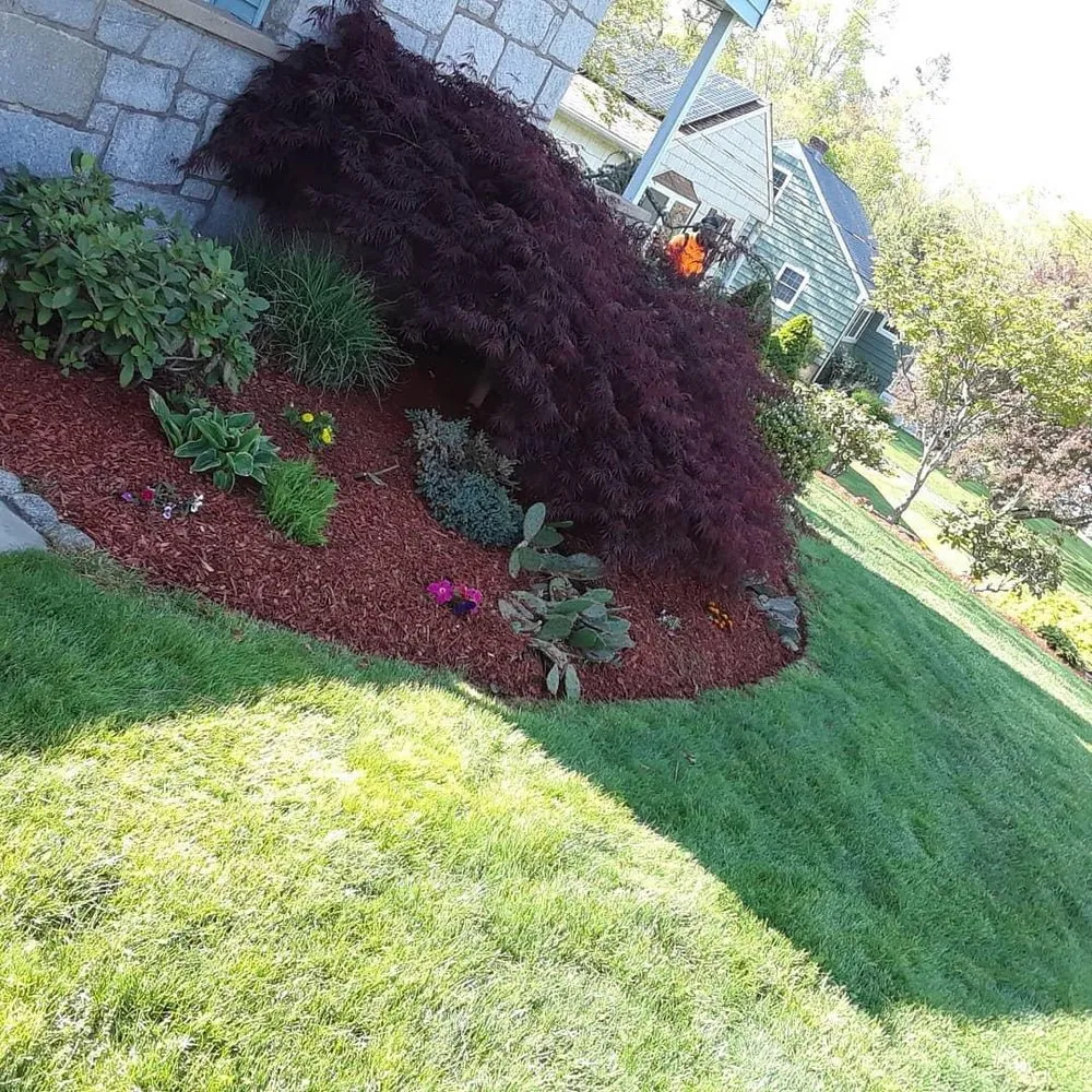 Custom landscape installation in Farmington, CT by Juarez General Lawn Services
