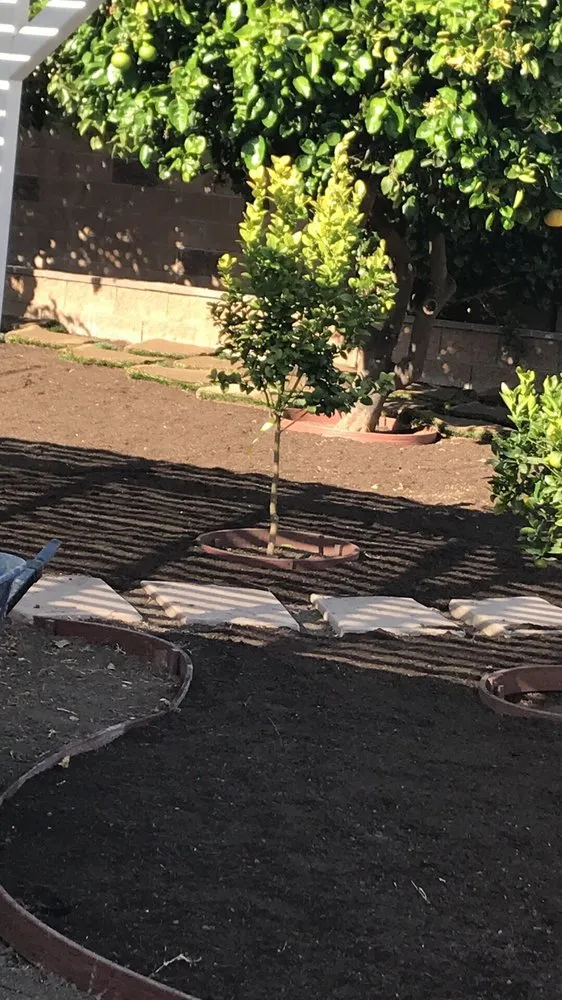 Local lawn mowing service in Oxnard, CA - Juarez Green Turf & Landscaping