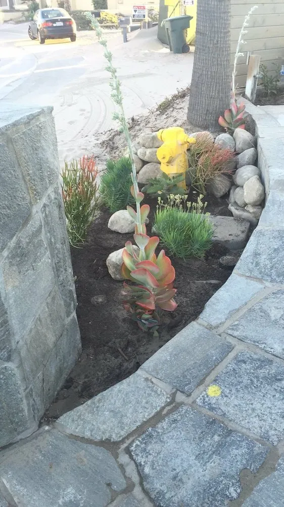 Top-rated landscaping services experts serving Oxnard, CA - Juarez Green Turf & Landscaping