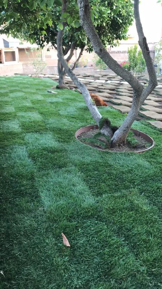 Top-rated garden landscaping experts serving Oxnard, CA - Juarez Green Turf & Landscaping