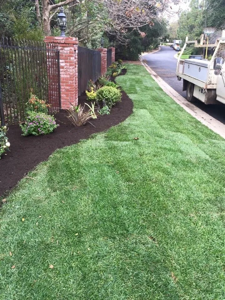 Trusted yard cleanup service in Oxnard, CA by Juarez Green Turf & Landscaping