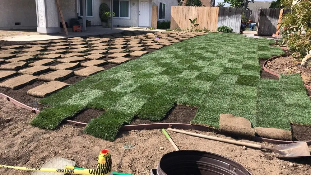 Professional yard cleanup service in Oxnard, CA by Juarez Green Turf & Landscaping