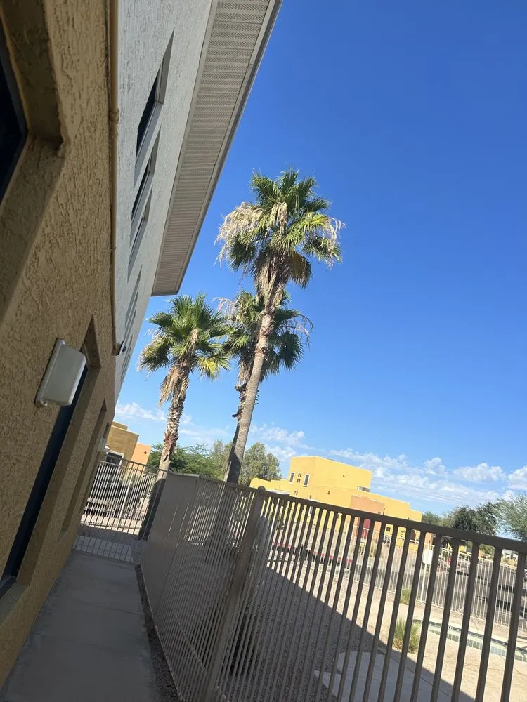 Local outdoor landscaping in Mesa, AZ by Juarez Landscape