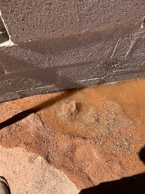 Reliable garden landscaping in Mesa, AZ by Juarez Landscape