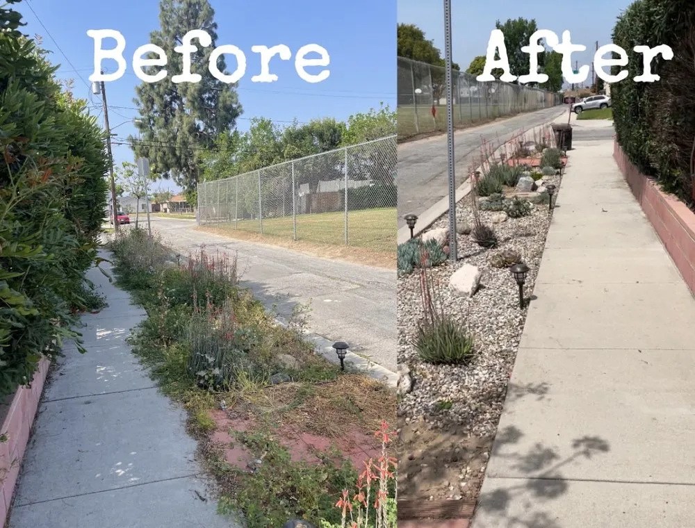 Expert lawn care service for homes across San Fernando, CA - Juarez Landscape