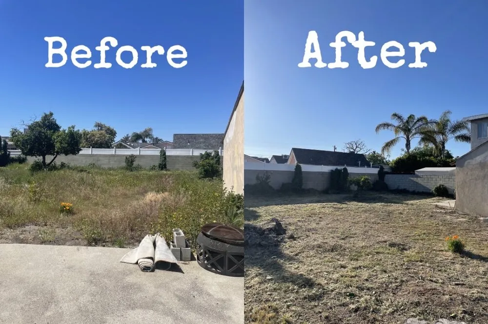 Top-rated lawn care service for outdoor upgrades in San Fernando, CA by Juarez Landscape