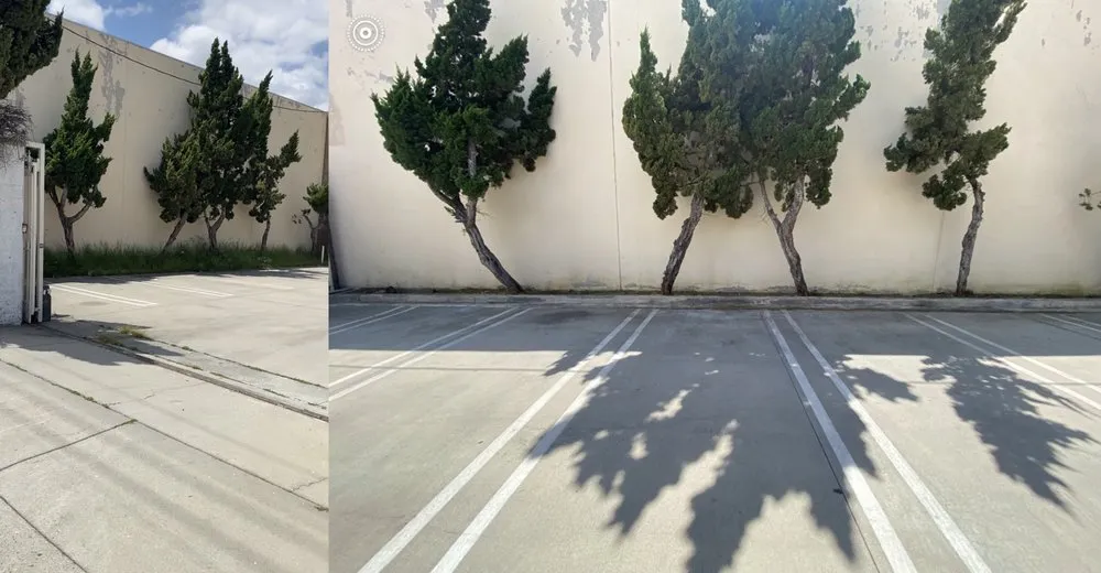 Local yard maintenance in San Fernando, CA - Juarez Landscape