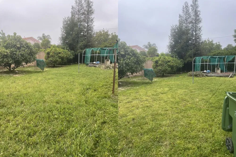 Reliable yard maintenance in San Fernando, CA - Juarez Landscape