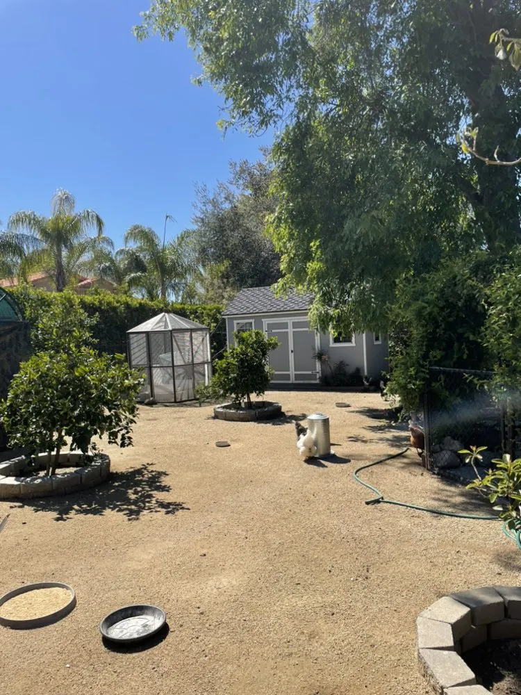 Trusted residential landscaping experts serving San Fernando, CA - Juarez Landscape