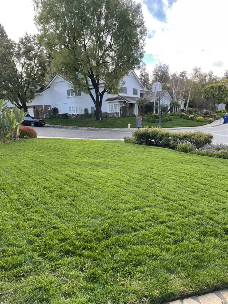 Custom landscaping services in San Fernando, CA - Juarez Landscape