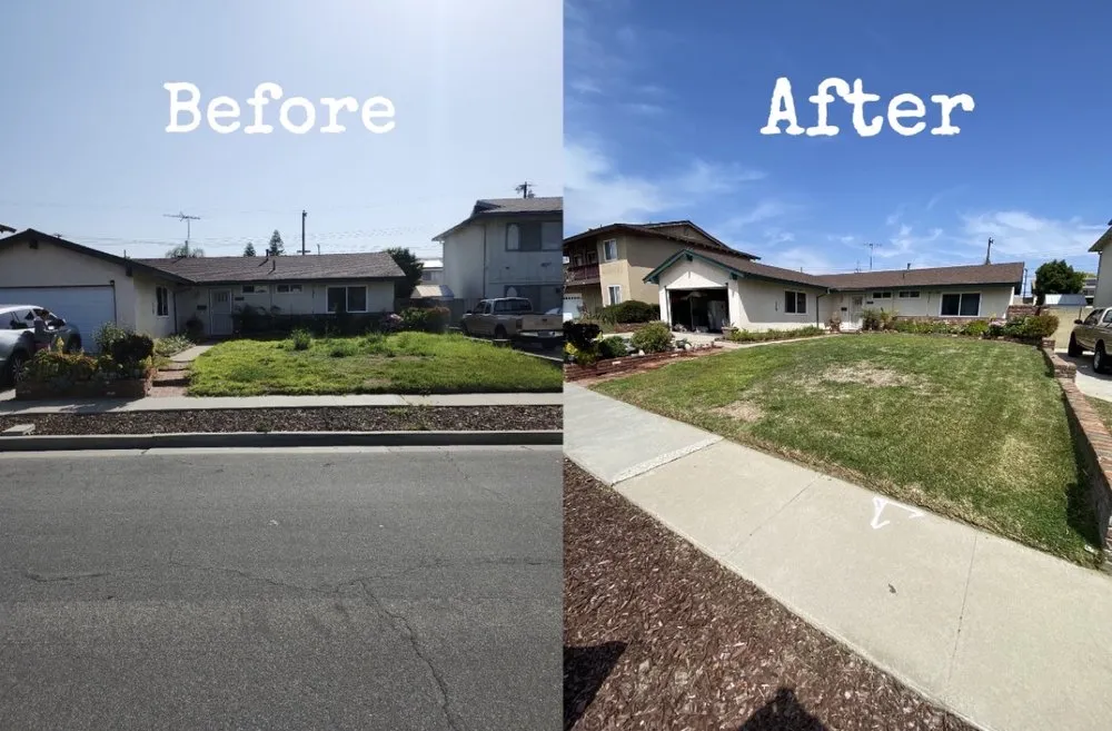 Reliable residential landscaping in San Fernando, CA by Juarez Landscape