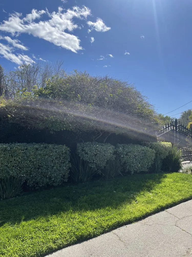 Affordable yard maintenance with custom design in San Fernando, CA by Juarez Landscape