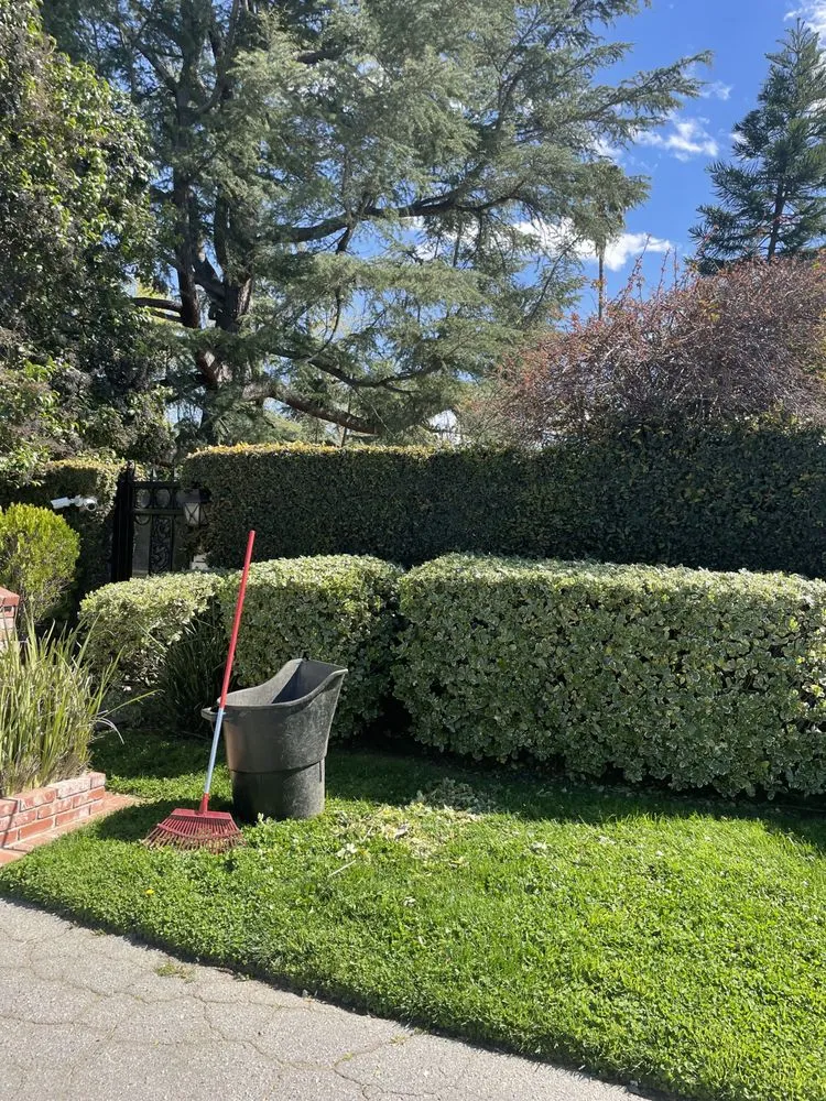 Local outdoor landscaping near you across San Fernando, CA - Juarez Landscape