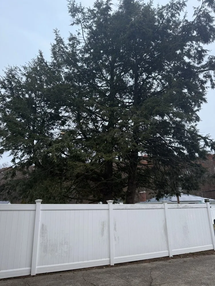 Expert yard maintenance in Peabody, MA - Juarez Landscaping and Tree Services