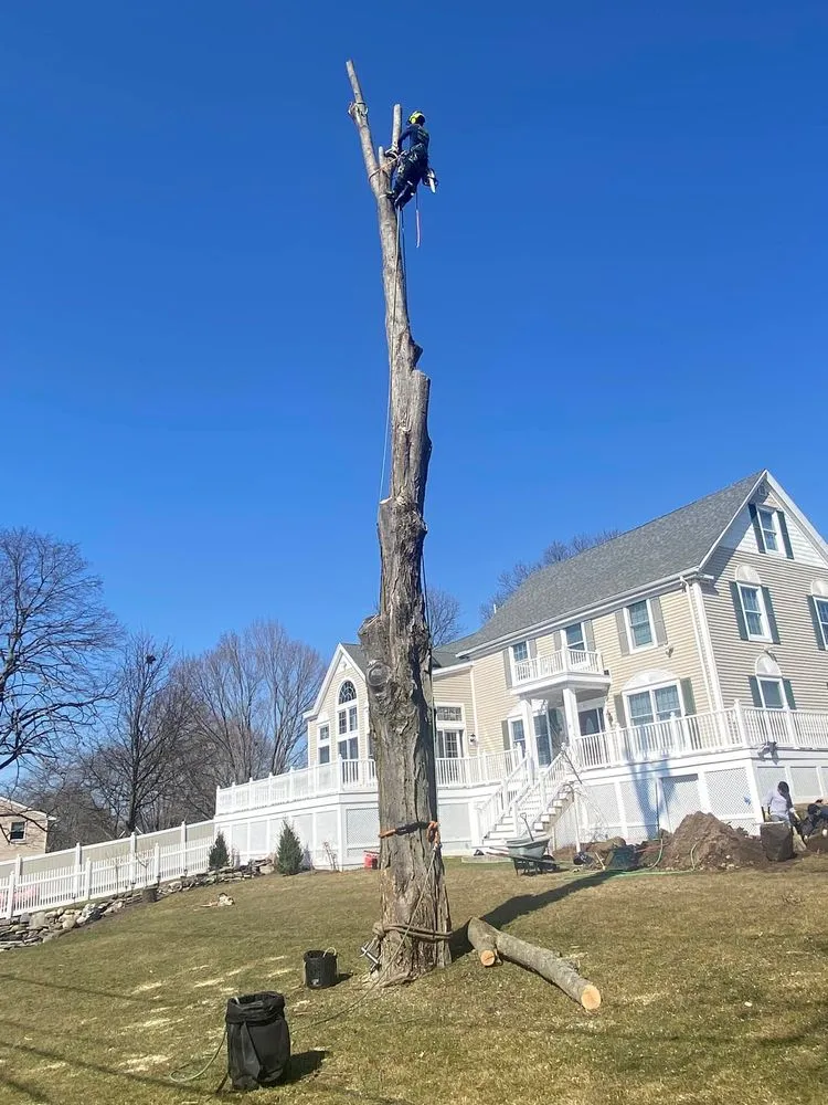 Reliable garden landscaping in Peabody, MA by Juarez Landscaping and Tree Services