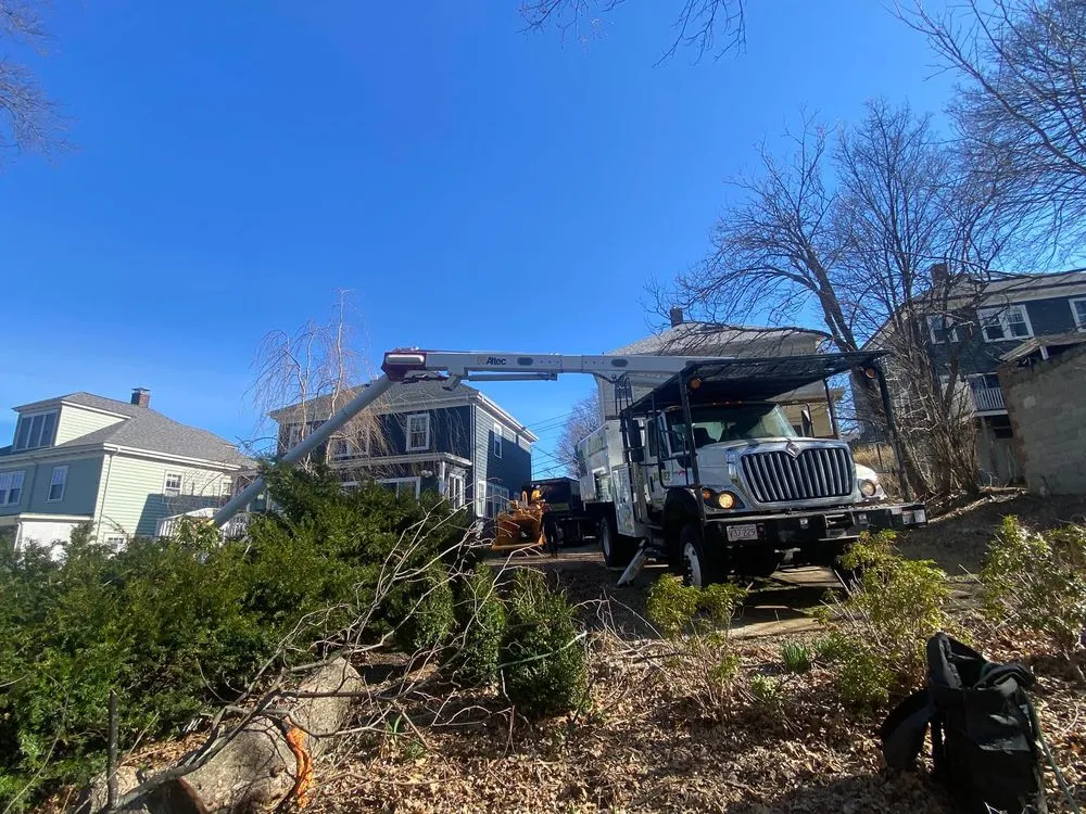 Local landscape installation for outdoor upgrades across Peabody, MA - Juarez Landscaping and Tree Services