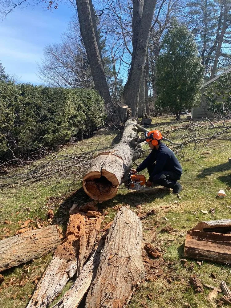 Local garden landscaping in Peabody, MA - Juarez Landscaping and Tree Services