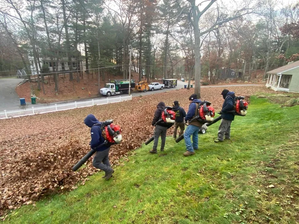 Custom lawn care service in Peabody, MA by Juarez Landscaping and Tree Services