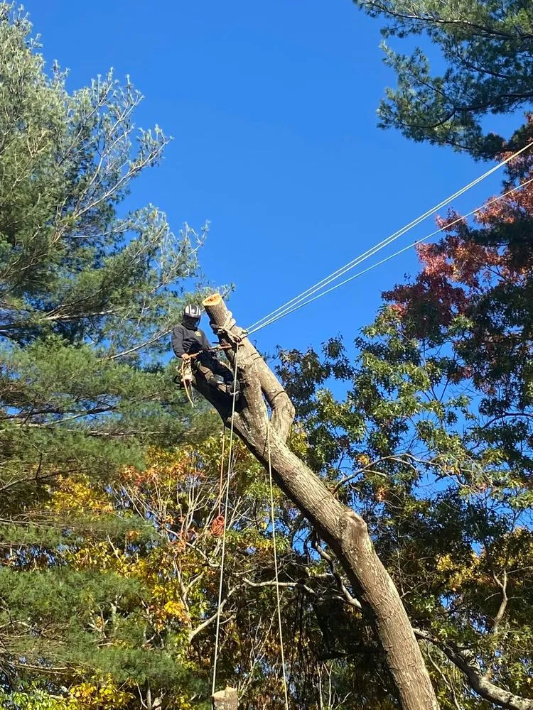 Reliable residential landscaping in Peabody, MA by Juarez Landscaping and Tree Services