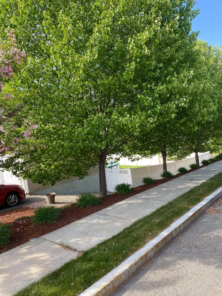 Expert yard maintenance in Peabody, MA by Juarez Landscaping and Tree Services