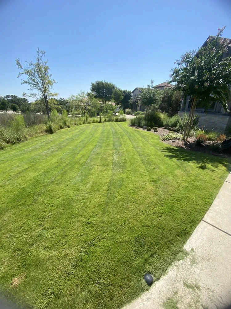 Local landscape design for residential properties across Comfort, TX - Juarez Landscaping