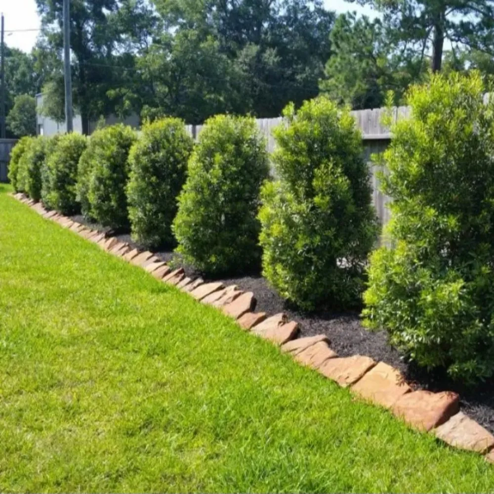 Reliable outdoor landscaping for outdoor upgrades across Magnolia, TX - Juarez Landscaping
