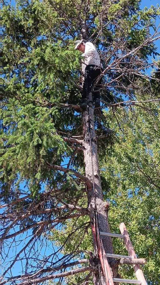 Affordable garden landscaping in Denver, CO - Juarez Landscaping Services