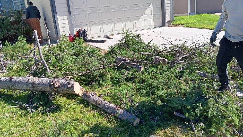 Affordable yard maintenance in Denver, CO by Juarez Landscaping Services