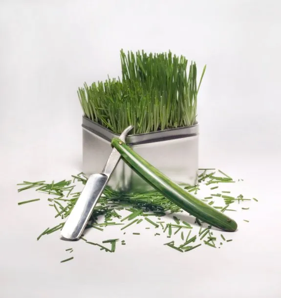 Top-rated lawn mowing service experts serving Denver, CO - Juarez Landscaping Services