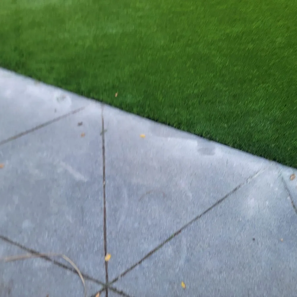 Custom yard cleanup service experts serving San Rafael, CA - Juarez Landscaping Services