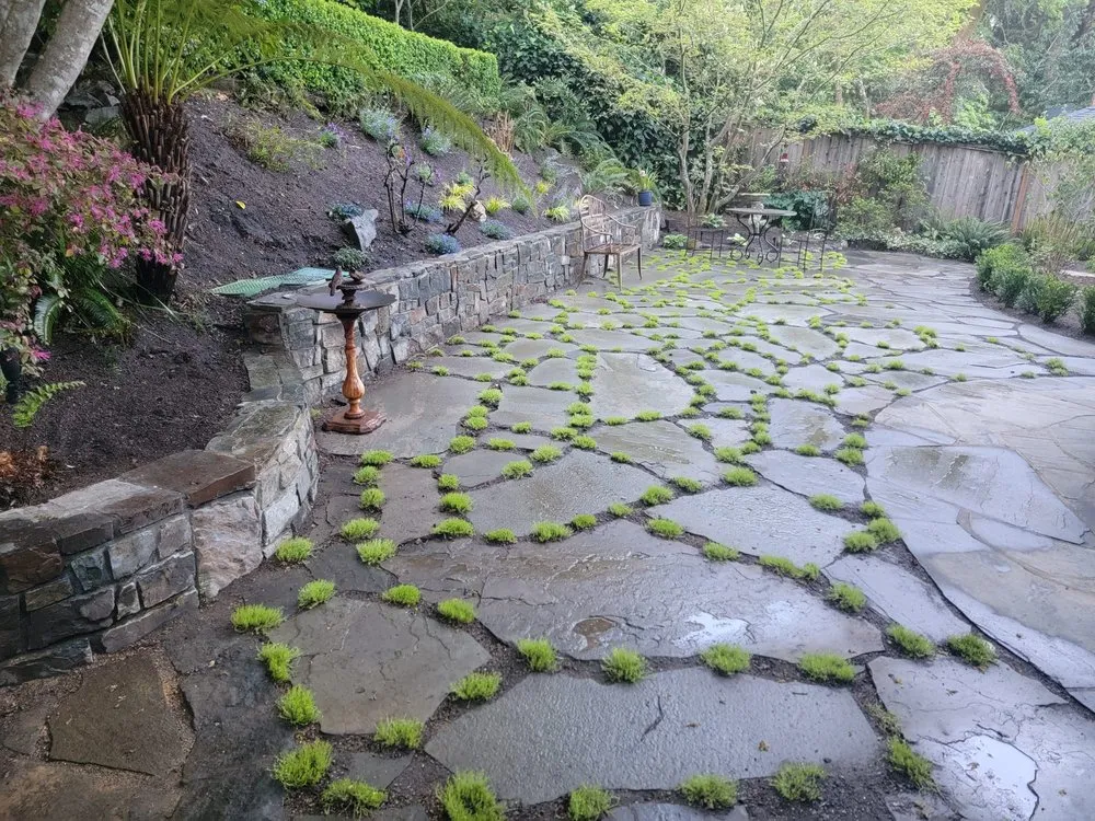 Expert garden landscaping for year-round maintenance in San Rafael, CA by Juarez Landscaping Services