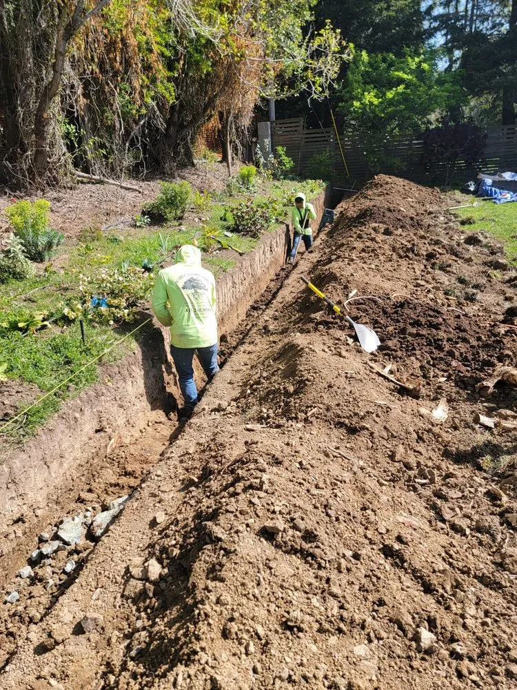 Professional lawn care service for residential properties across San Rafael, CA - Juarez Landscaping Services