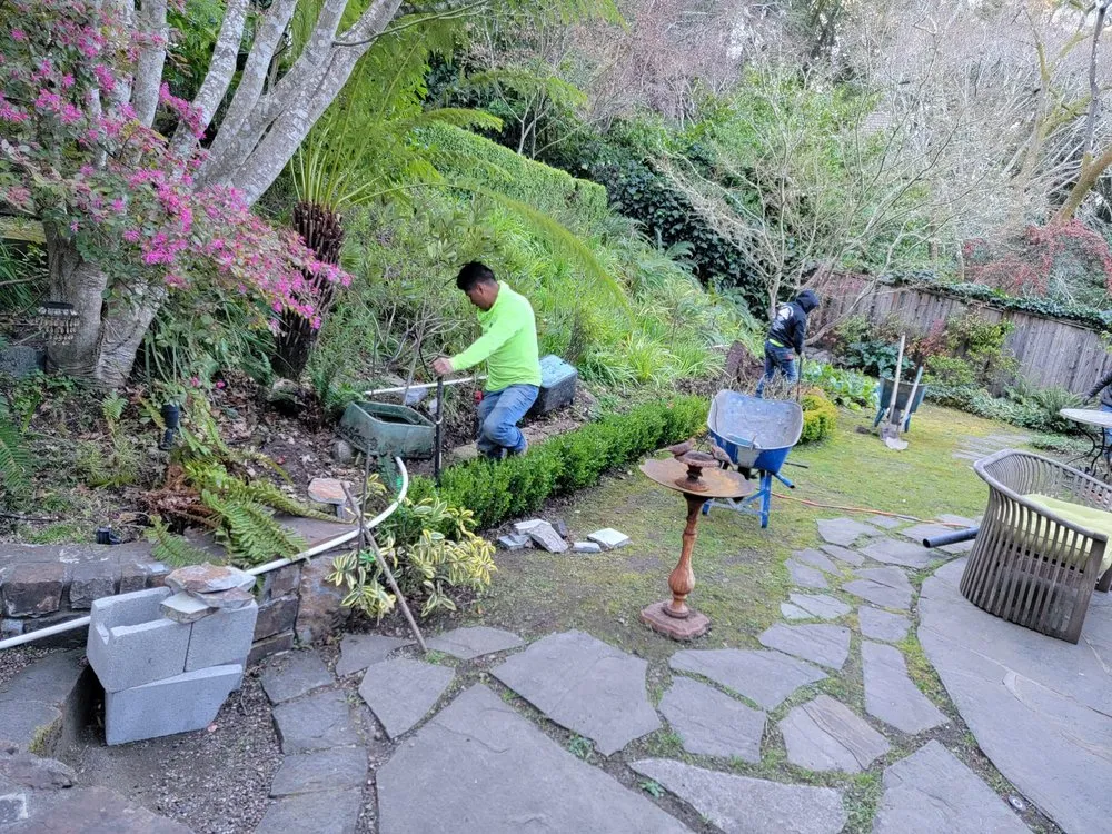 Local lawn mowing service in San Rafael, CA - Juarez Landscaping Services